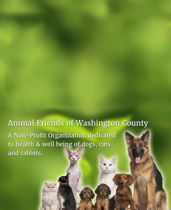 Non-profit Vet Clinic | Animal Friends of Washington Co